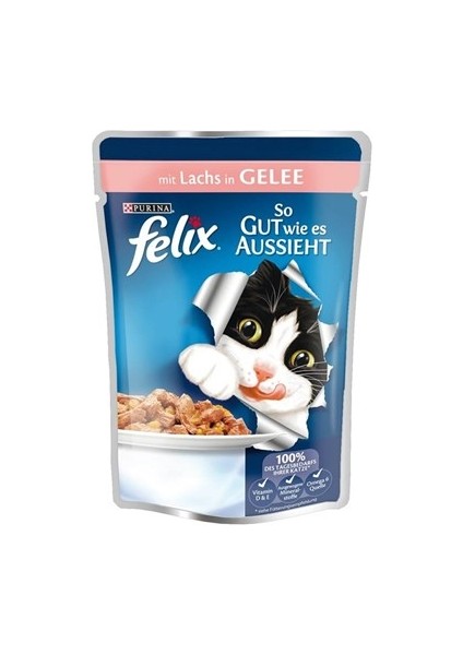 Purina Felix Somonlu Kedi Yaş Maması 100 gr