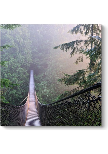 Kanada Lynn Canyon Park Tablosu