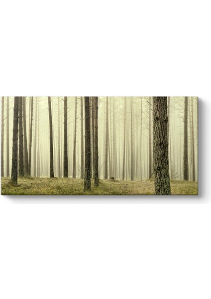 Ağaçlar Panorama Tablo