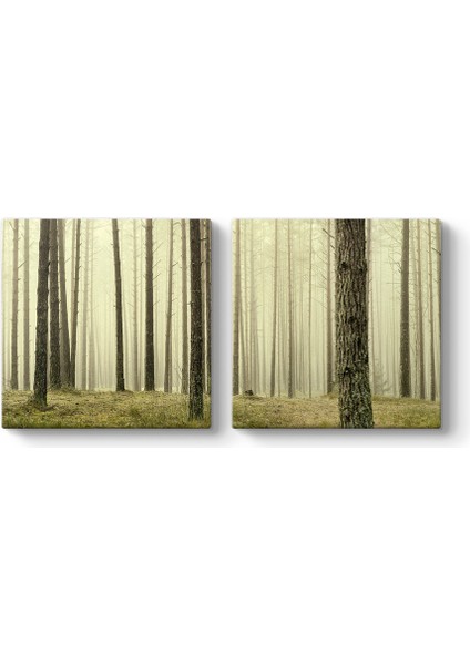 Ağaçlar Panorama Tablo