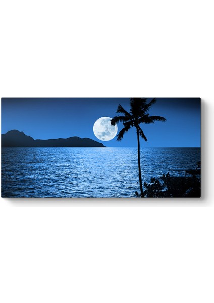 Dolunay Ay Işığı Tablosu