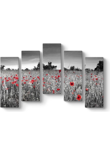 Siyah Beyaz Gelincik Tarlası Tablosu