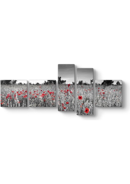 Siyah Beyaz Gelincik Tarlası Tablosu