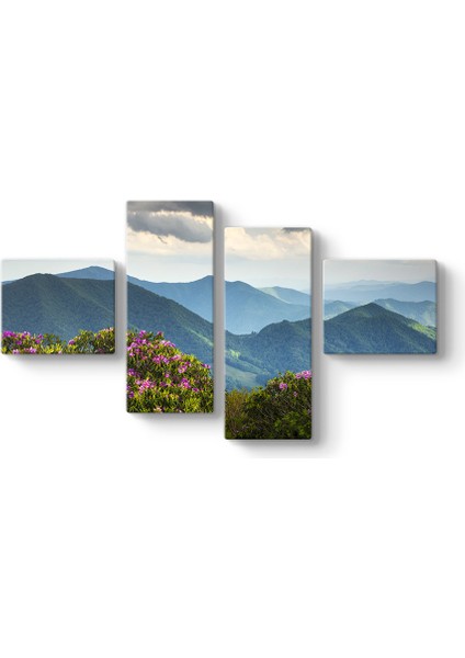 Blue Ridge Dağları Tablosu