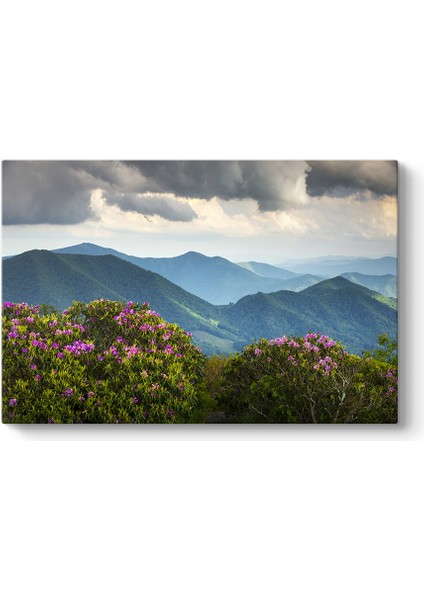 Blue Ridge Dağları Tablosu