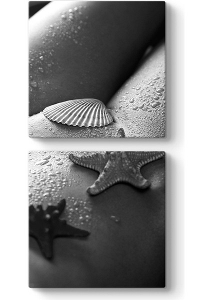 With Seashell Tablo