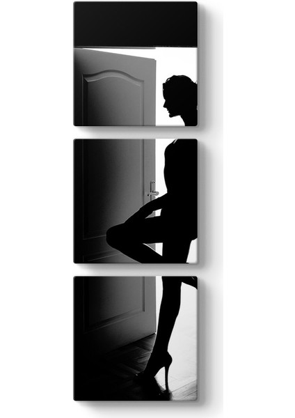 Attractive Woman Tablosu