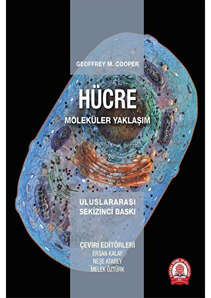 Hücre Moleküler Yaklaşım - Geoffrey M. Cooper