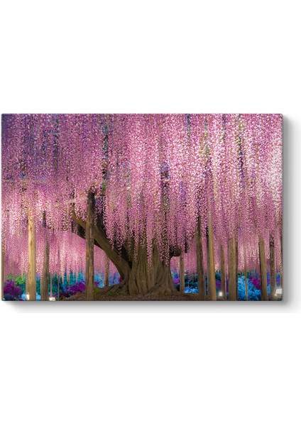 Pembe Wisteria Ağacı Tablosu
