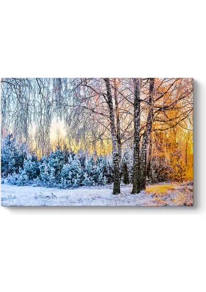 Günbatımı Kış Manzarası