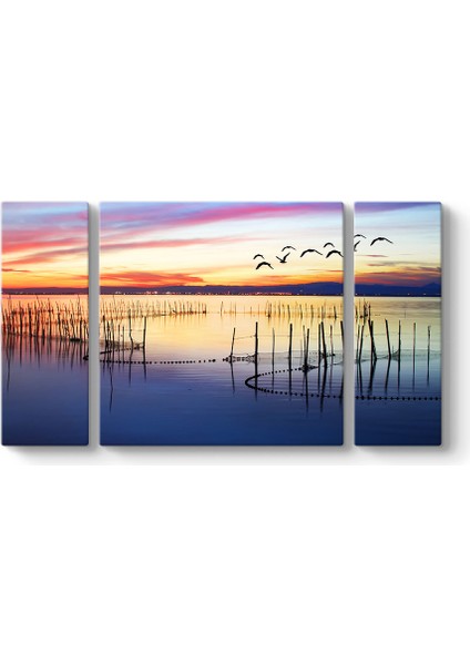 Balık Ağları Tablosu