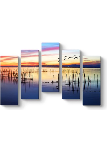 Balık Ağları Tablosu