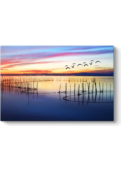 Balık Ağları Tablosu