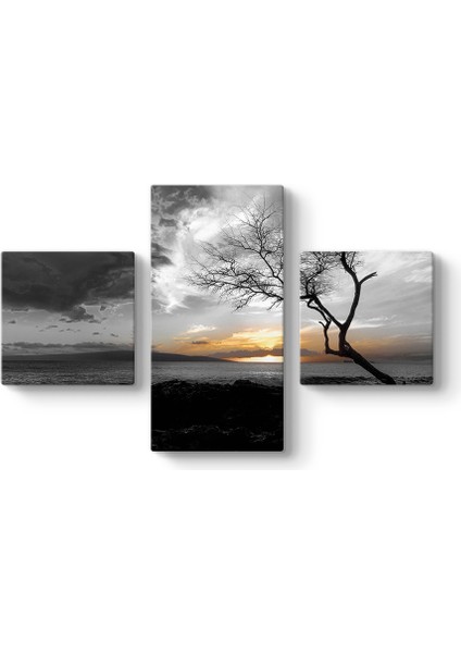 Maui Adasında Gün Batımı Tablosu