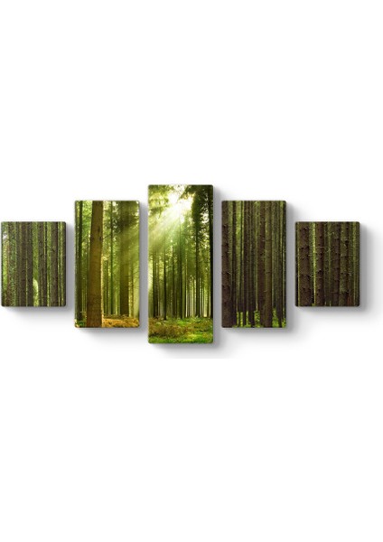 Güneş Işınları Tablosu