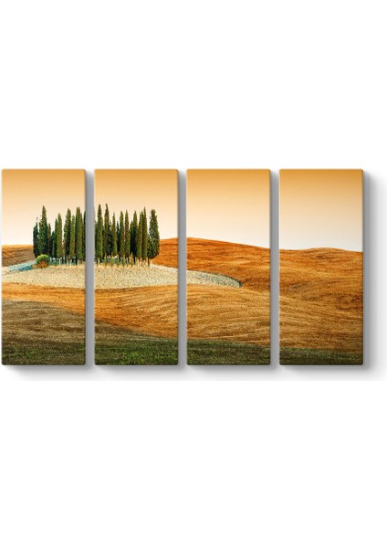 Sürülmüş Tarla Tablosu