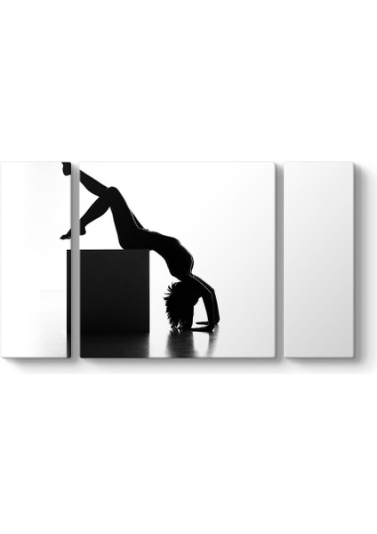 Artistic Nude Tablosu