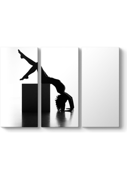 Artistic Nude Tablosu