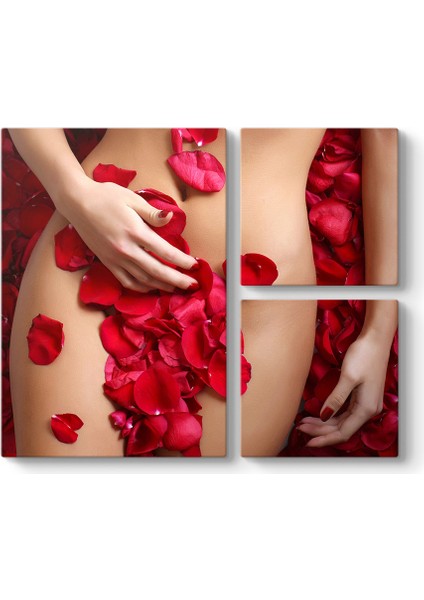 Beauty In Roses Tablosu