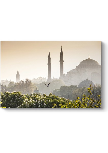 Sultan Ahmet Camii Sabahı Tablosu