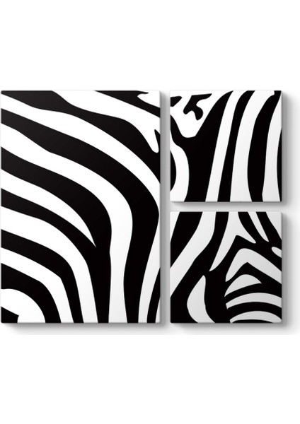 Zebra Deseni Vektörel Tablo