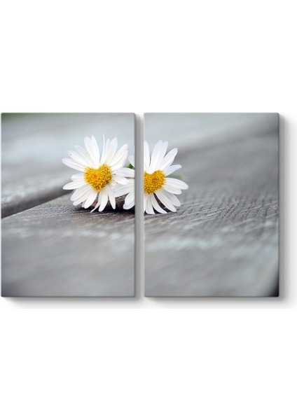 Papatya Falı Tablosu