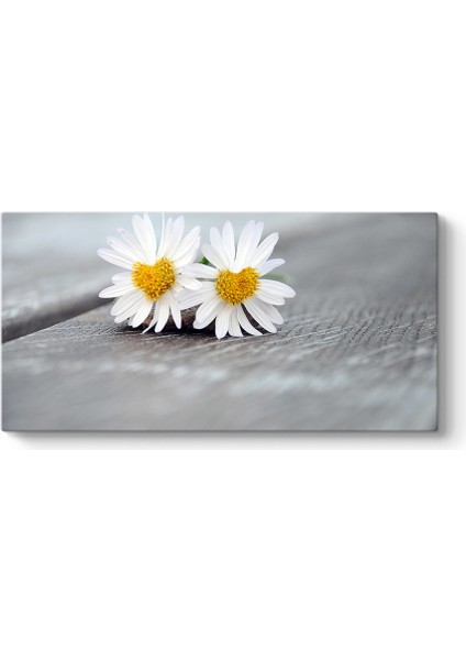 Papatya Falı Tablosu