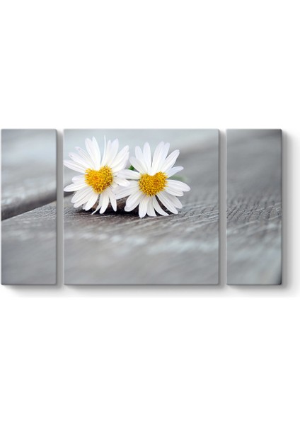 Papatya Falı Tablosu