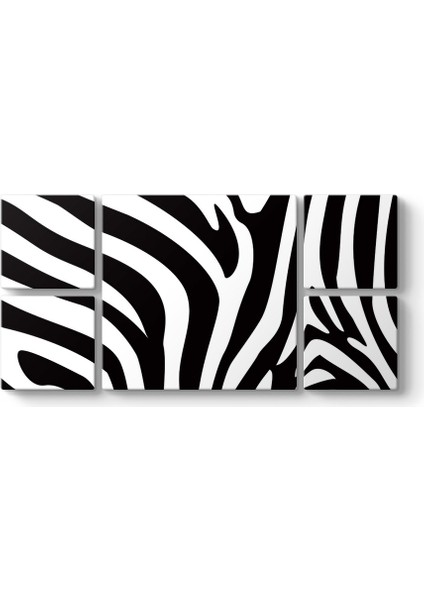 Zebra Deseni Vektörel Tablo