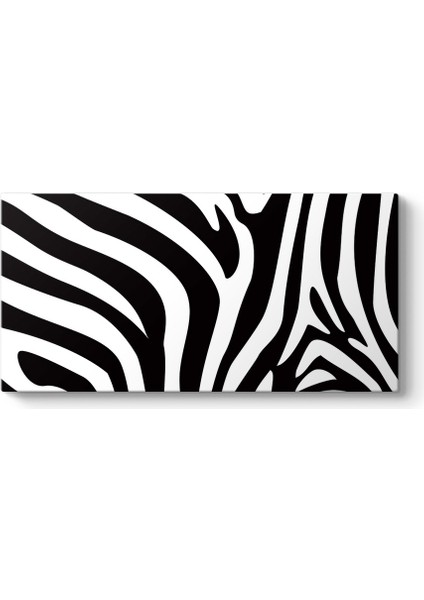 Zebra Deseni Vektörel Tablo