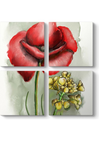 Gelincik Tasarım Tablosu