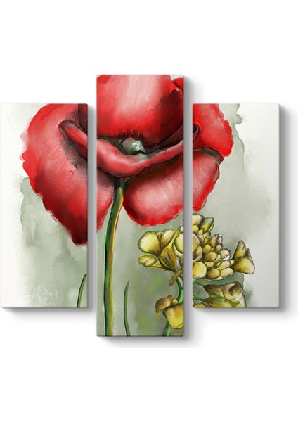 Gelincik Tasarım Tablosu