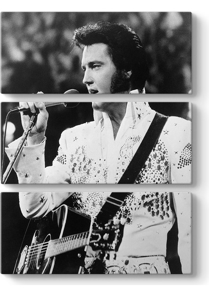 Elvis Presley - My Way Tablosu