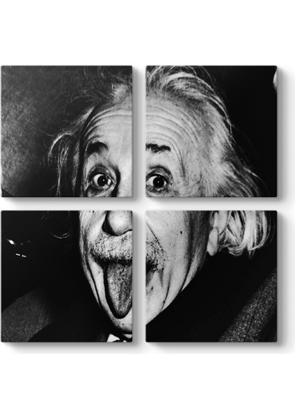 Albert Einstein Tablosu