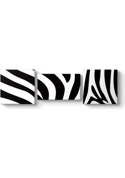 Zebra Deseni Vektörel Tablo