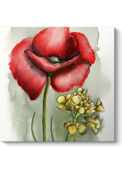 Gelincik Tasarım Tablosu