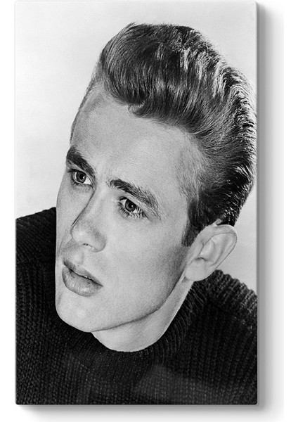 James Dean Tablosu