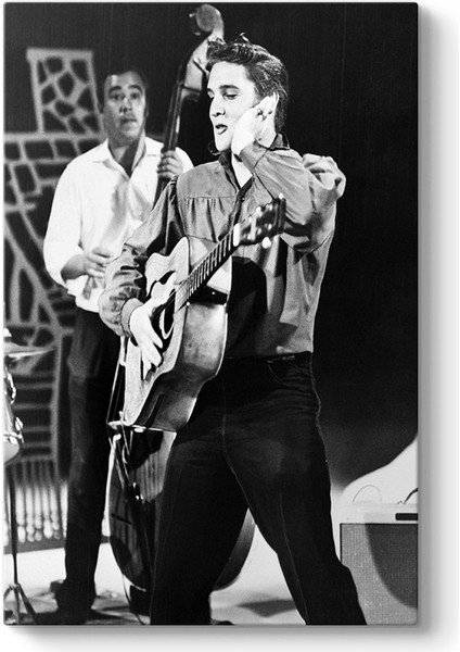 Elvis Presley Canvas Tablo