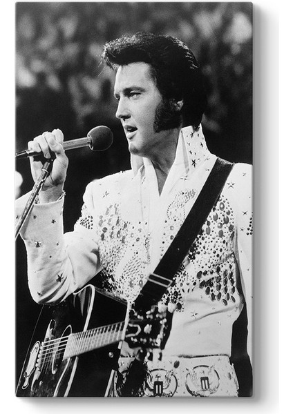 Elvis Presley - My Way Tablosu