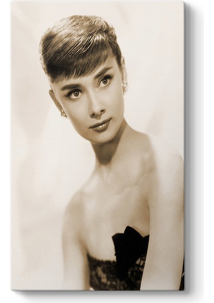 Audrey Hepburn Tablosu