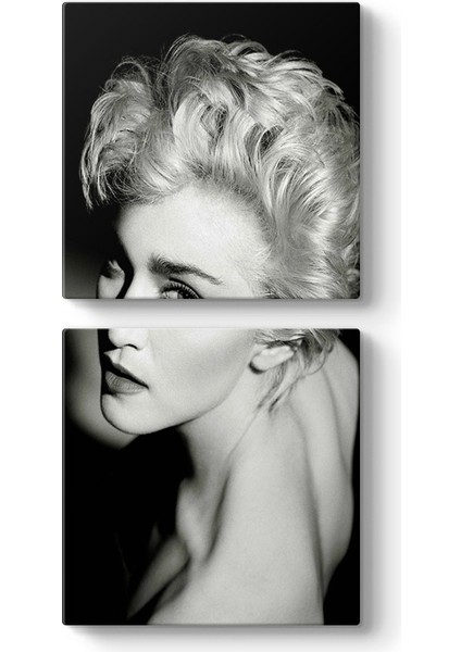 Madonna Louise Ciccone Tablosu
