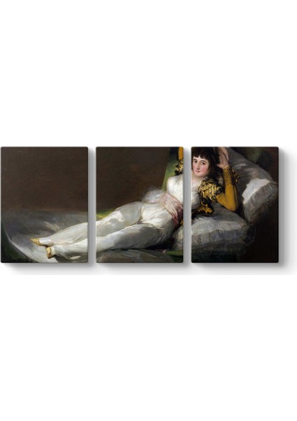 Francisco Goya - Giyinik Maya Tablosu