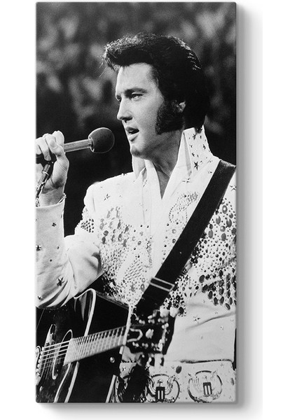 Elvis Presley - My Way Tablosu