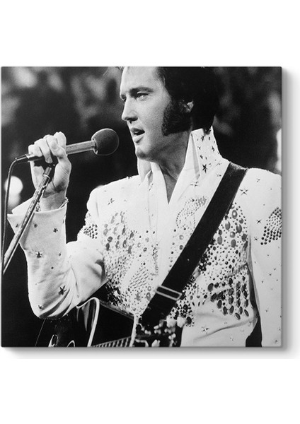 Elvis Presley - My Way Tablosu