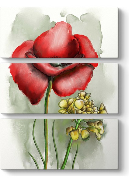 Gelincik Tasarım Tablosu