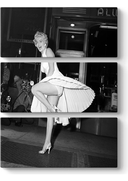 Marilyn Monroe Etek Tablosu