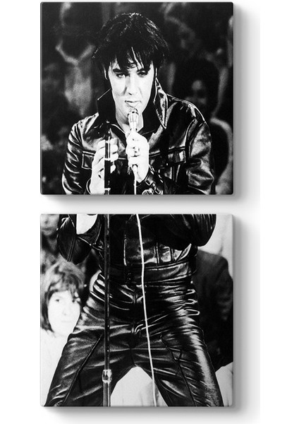 Elvis Presley Kanvas Tablo