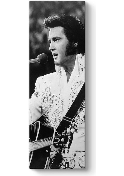 Elvis Presley - My Way Tablosu