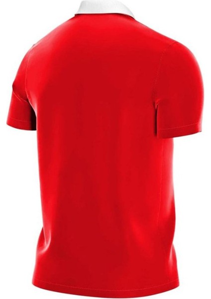 CW6933-657 M Nk Df PARK20 Polo Ss Erkek Polo T-Shirts fiyatları
