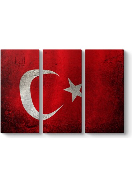 Eskitme Türk Bayrağı Tablosu